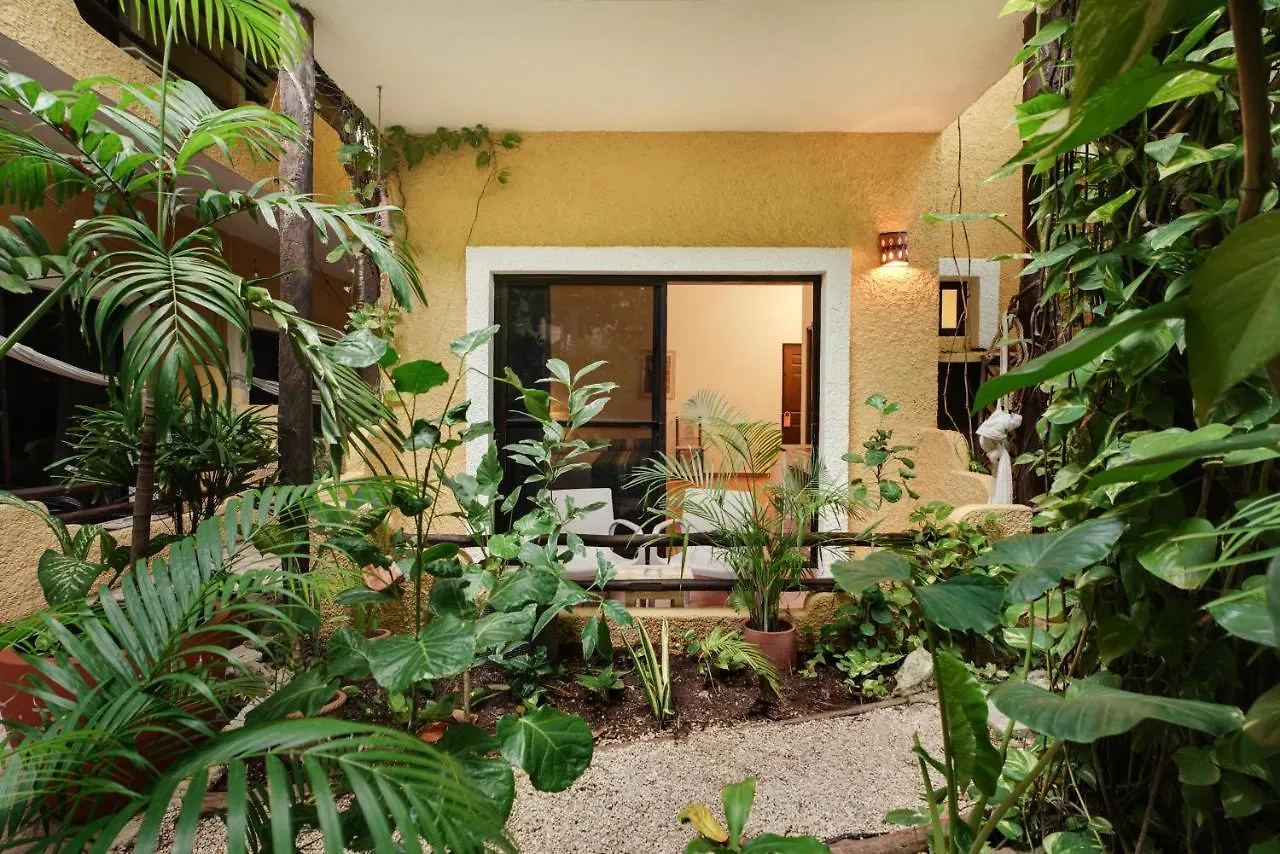 Hotel Casa Colibri Playa del Carmen Meksyk