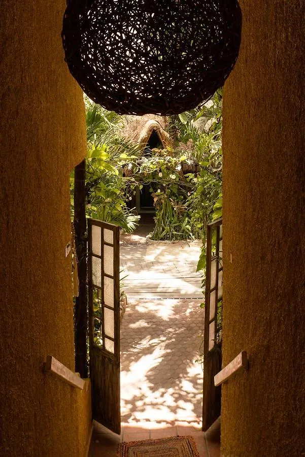 Hotel Casa Colibri Playa del Carmen Mexique