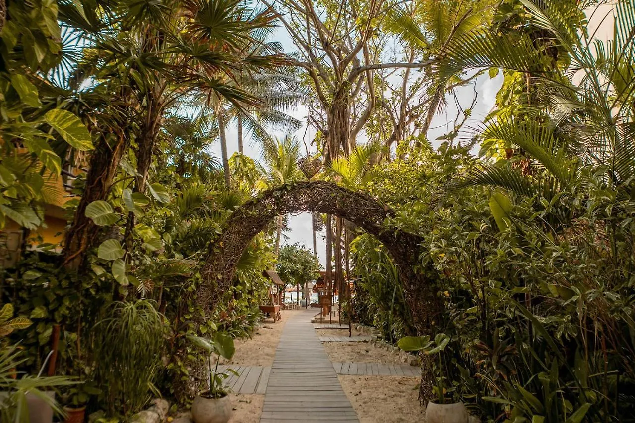 Hotel Casa Colibri Playa del Carmen 4*,