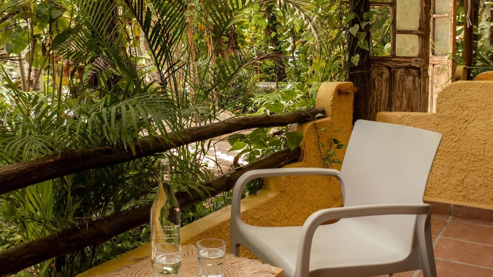 Hotel Casa Colibri Playa del Carmen Mexique