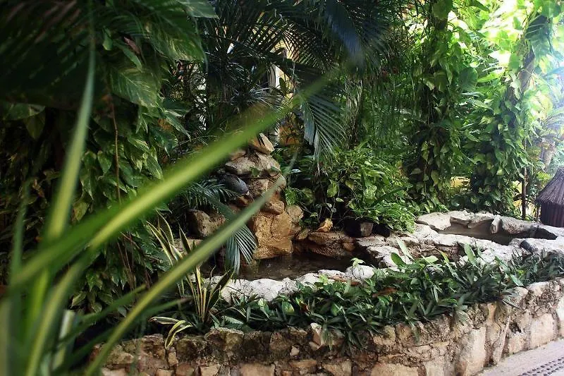 Hotel Casa Colibri Playa del Carmen 4*,